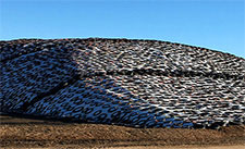 Silage Covering